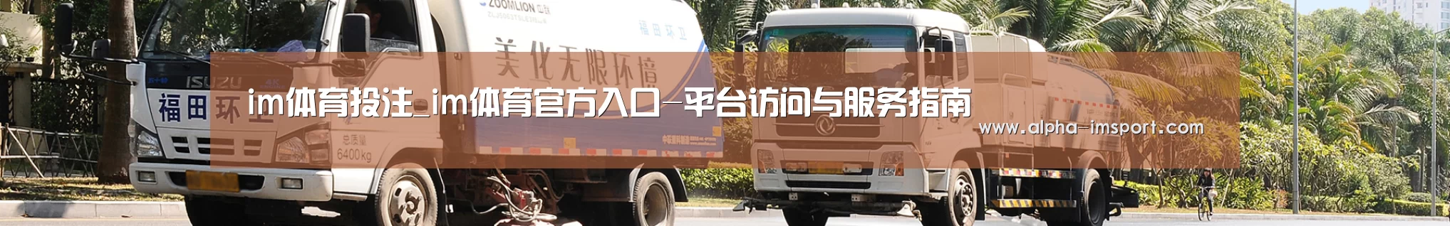 成功案例