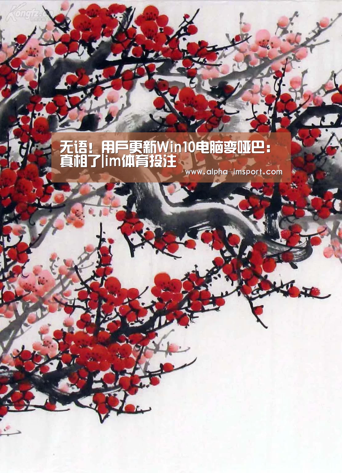 im体育下载