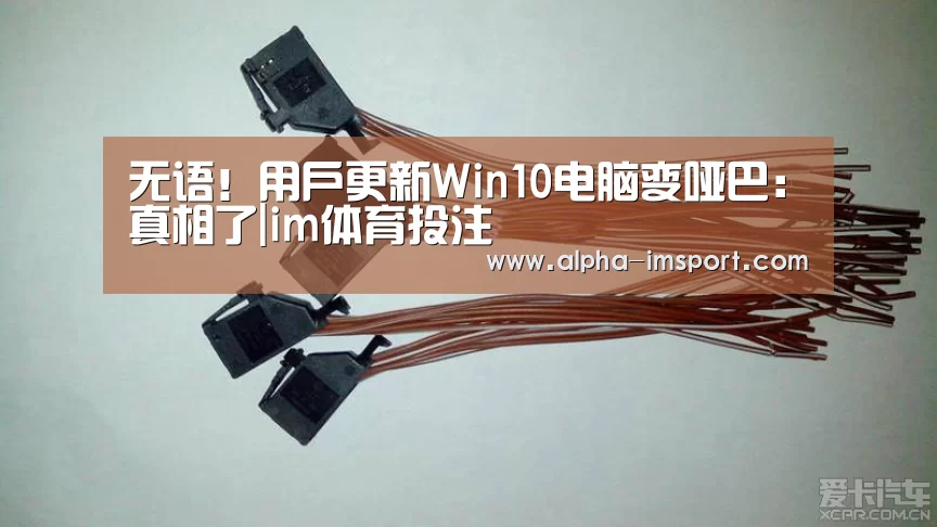 im体育下载