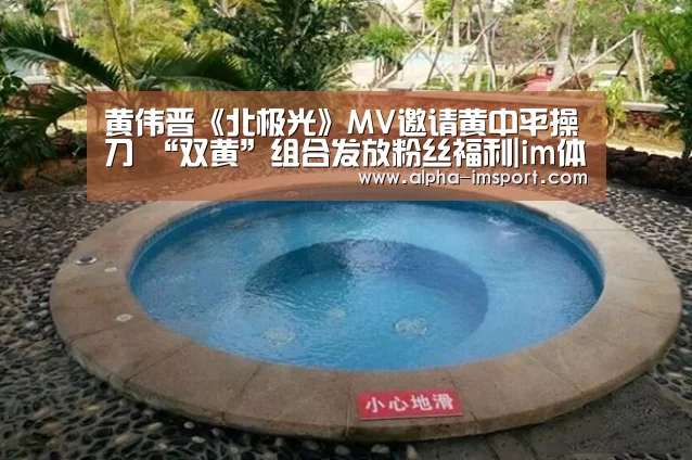 黄伟晋《北极光》MV邀请黄中平操刀 “双黄”组合发放粉丝福利|im体育投注