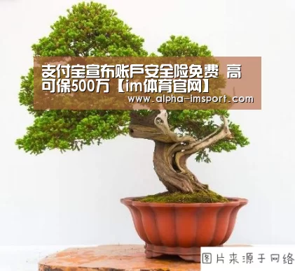 支付宝宣布账户安全险免费 高可保500万【im体育官网】(图4) im体育下载