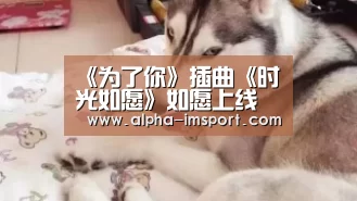 《为了你》插曲《时光如愿》如愿上线 陈明憙领衔实力班底打造【im体育下载】(图2) im体育下载