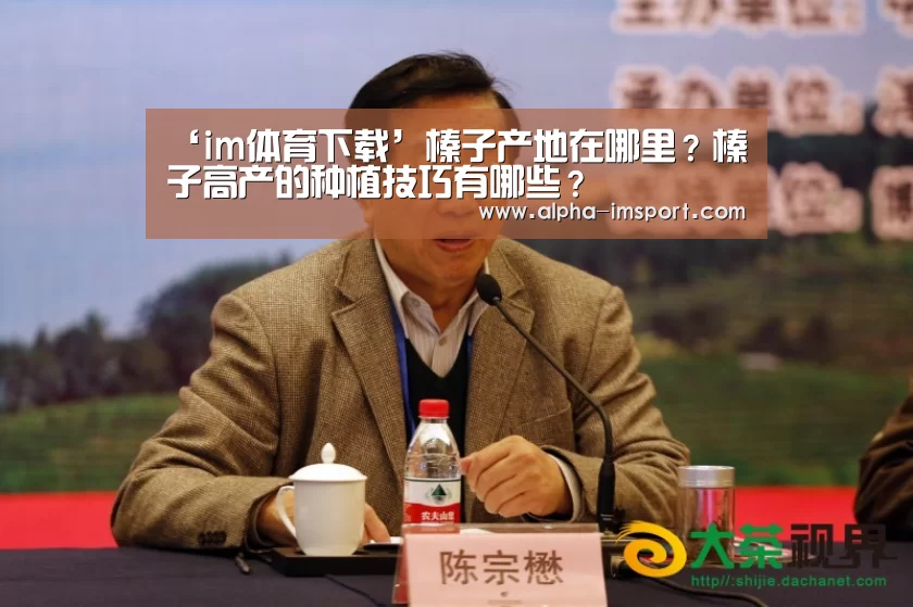im体育官网