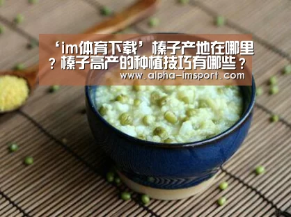 im体育下载