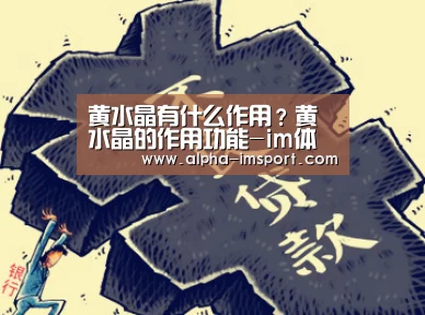 im体育投注
