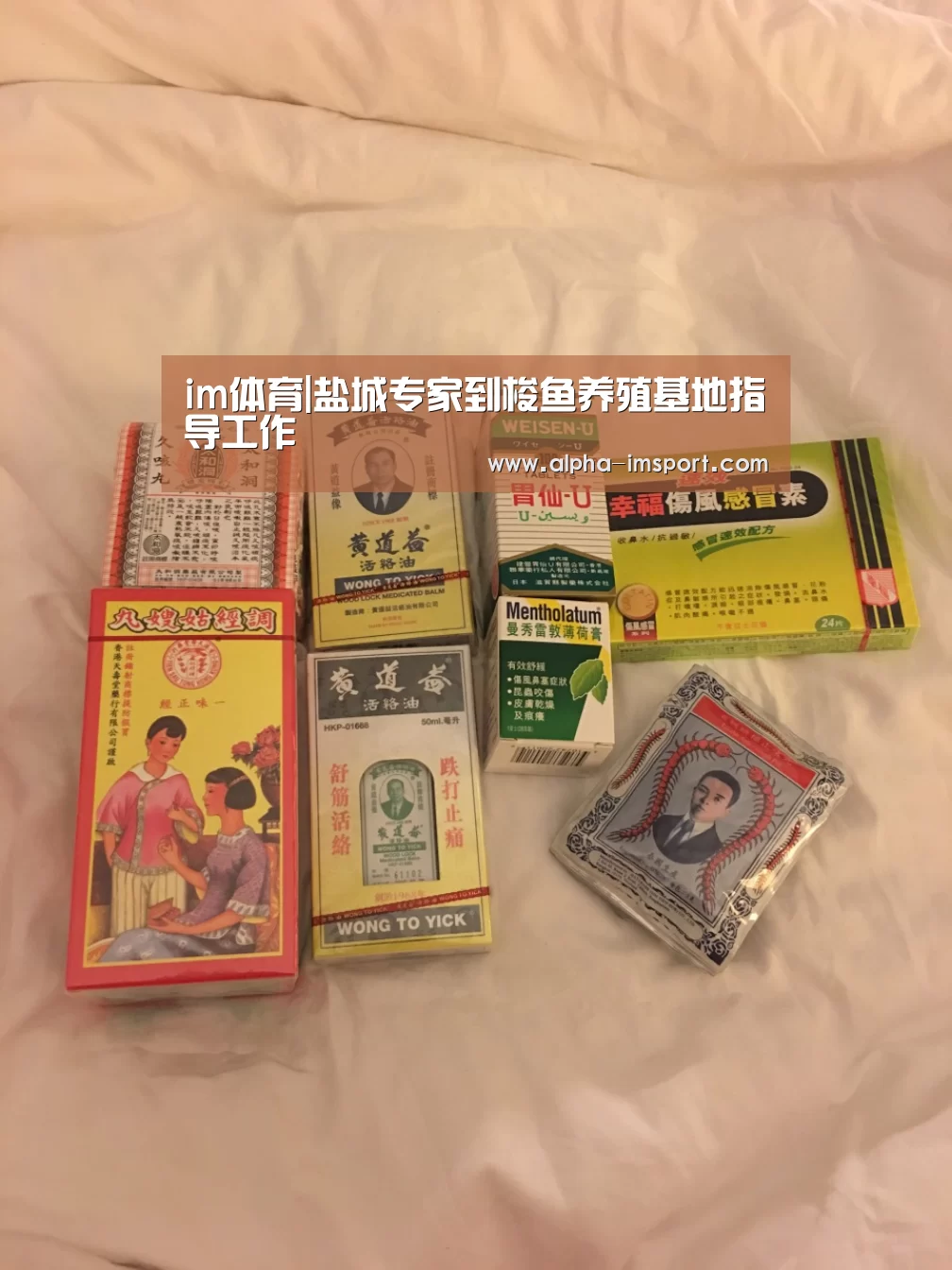 im体育|盐城专家到梭鱼养殖基地指导工作